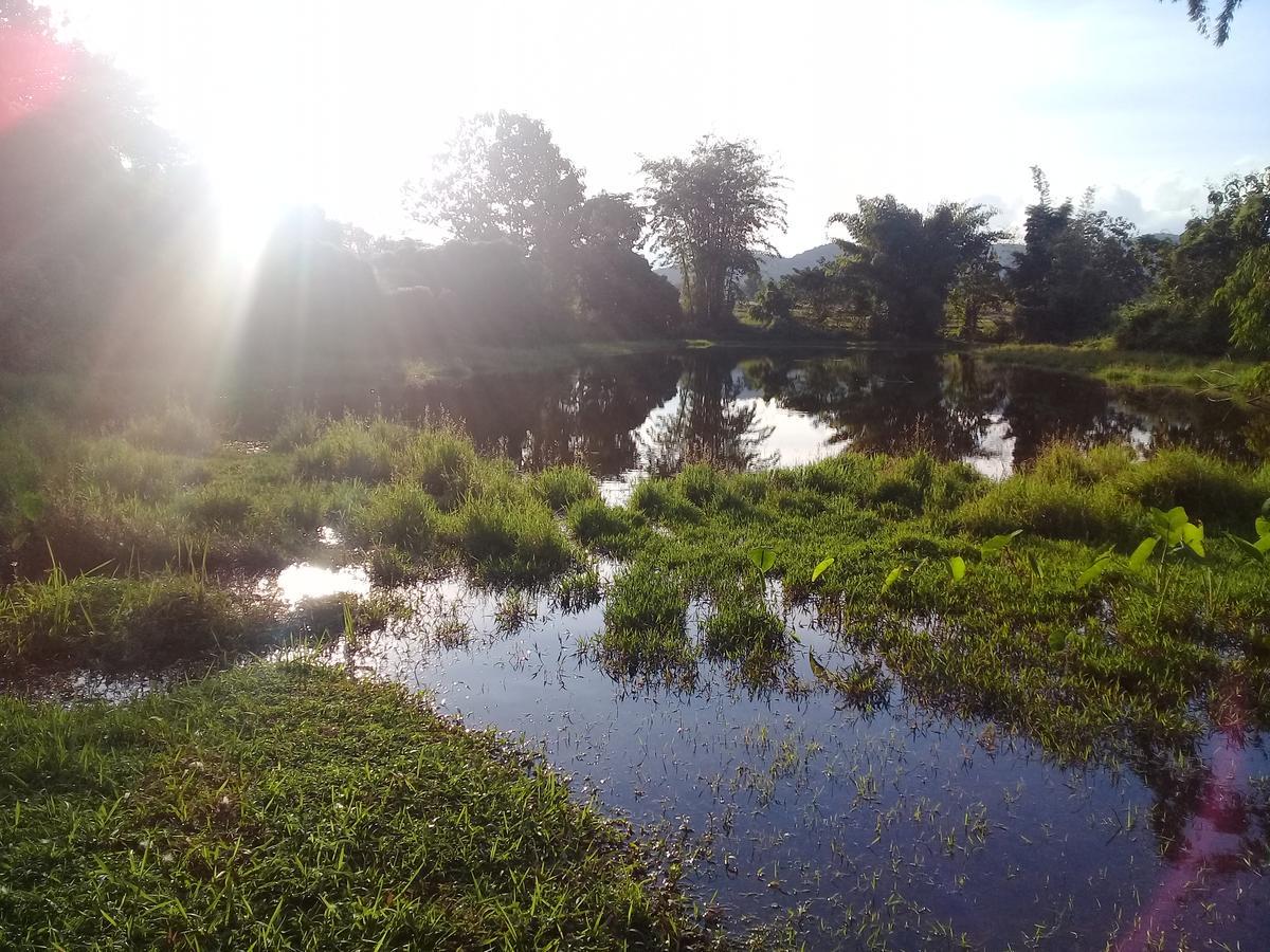 Baan Suan Jantra Home Stay Chiang Rai Exteriör bild