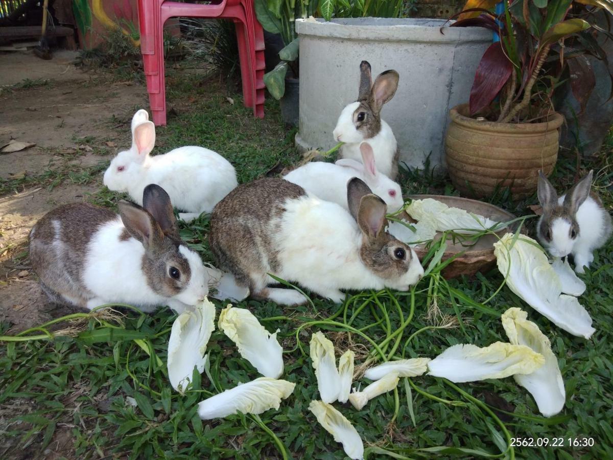 Baan Suan Jantra Home Stay Chiang Rai Exteriör bild